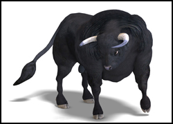 angry-bull