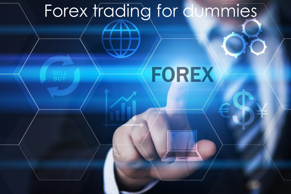 Forex trading for dummies