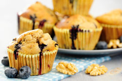Forex Articles - 16 Tala Muffins
