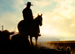 Forex Trading Articles - Home on the Range