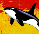 Comentarii ale pieței Forex - Spania, o balenă blocată pe coasta Europei