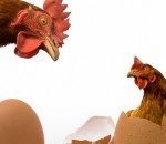 Forex Market Commentaries - The Chicken And Egg Story