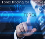 How to Overcome Under Trading in Forex?