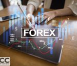 Diversification in Forex: Ways to Spice up Your Portfolio