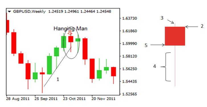 Understanding Hammer and Hanging Man Patterns