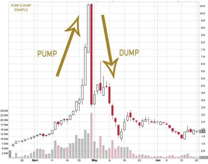 How to Avoid Scams in Crypto Pump and Dump