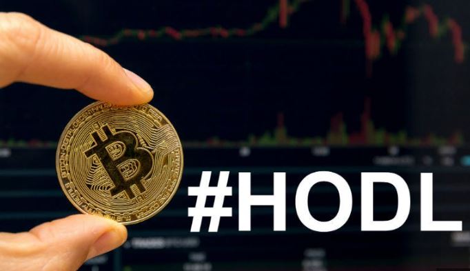 HODL: How Investors Are Updating Their Crypto Tactics