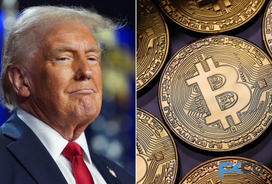 The Rise of Trump Coin: Exploring Its Impact on Cryptocurrency Markets