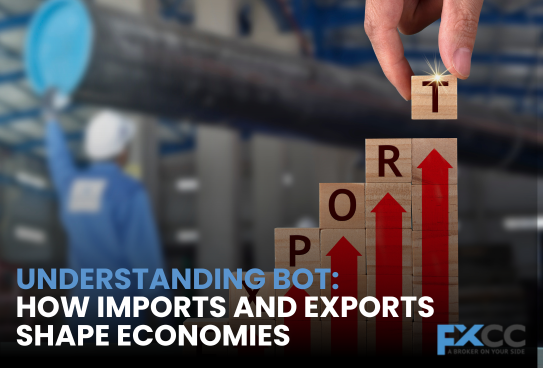 Understanding BOT: How Imports and Exports Shape Economies