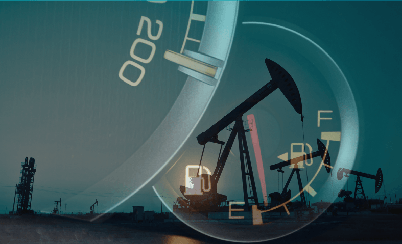 Crude Oil and Petrol Prices